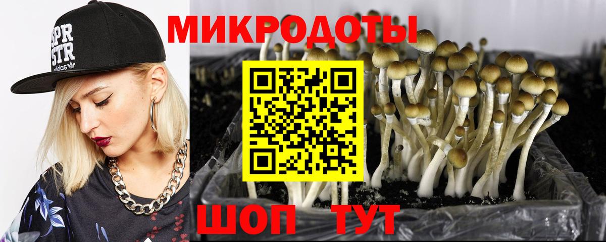 Малгобек  Псилоцибиновые грибы мицелий  Галлюциногенные грибы Psilocybe  где найти   Вход с VPN 