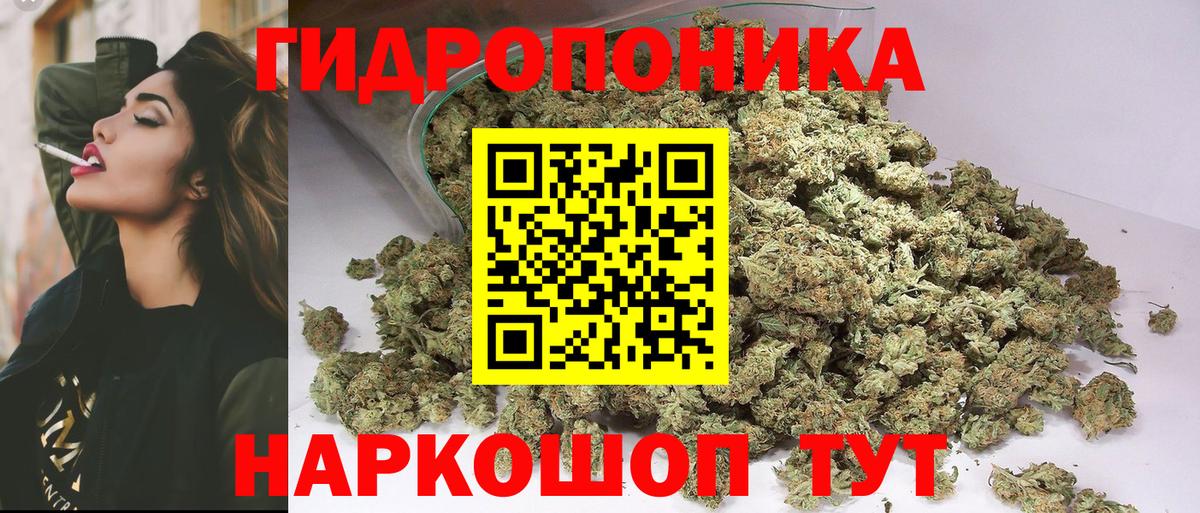 Шишки марихуана сатива  Марихуана AK-47  Вход с VPN  Малгобек 
